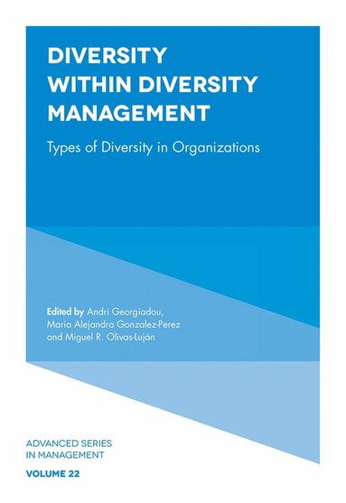 Andri Georgiadou, Maria Alejandra Gonzalez-Perez, Miguel R. Olivas-Luján - Diversity within Diversity Management, Inbunden
