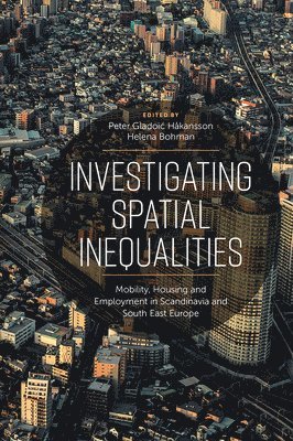 Investigating Spatial Inequalities 1