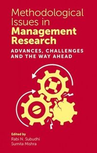 bokomslag Methodological Issues in Management Research