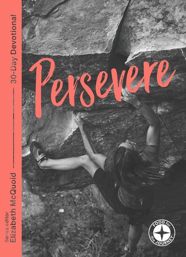 Steve Mitchell - Persevere, Häftad