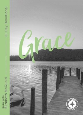 bokomslag Grace: Food for the Journey