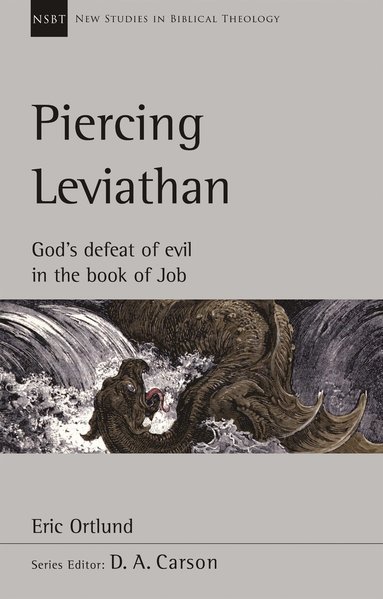 bokomslag Piercing Leviathan