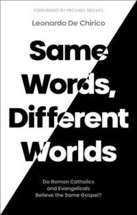 bokomslag Same Words, Different Worlds