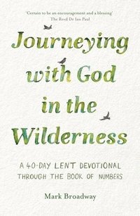 bokomslag Journeying with God in the Wilderness