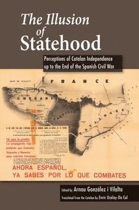 bokomslag Illusion of Statehood