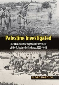 bokomslag Palestine Investigated