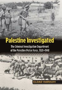 bokomslag Palestine Investigated