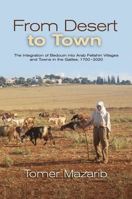 From Desert to Town 1