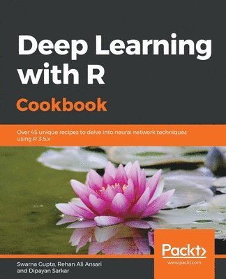 bokomslag Deep Learning with R Cookbook