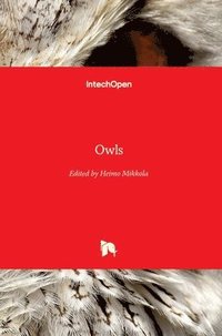 bokomslag Owls