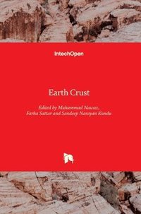 bokomslag Earth Crust