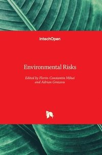 bokomslag Environmental Risks