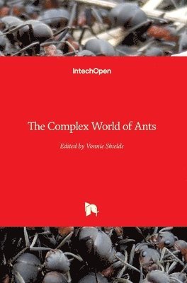 bokomslag Complex World of Ants