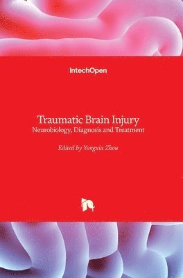 bokomslag Traumatic Brain Injury