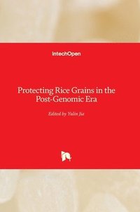 bokomslag Protecting Rice Grains in the Post-Genomic Era