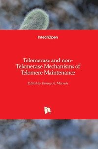 bokomslag Telomerase and non-Telomerase Mechanisms of Telomere Maintenance