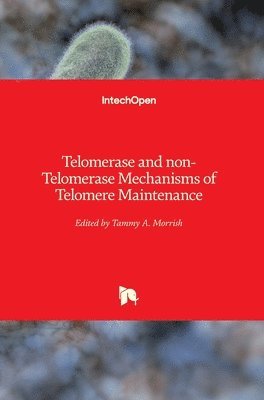 Telomerase and non-Telomerase Mechanisms of Telomere Maintenance 1