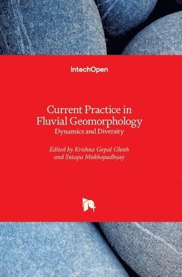 bokomslag Current Practice in Fluvial Geomorphology