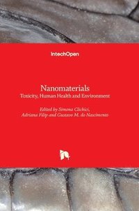 bokomslag Nanomaterials