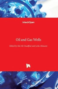 bokomslag Oil and Gas Wells