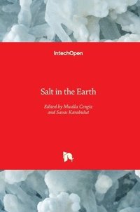 bokomslag Salt in the Earth