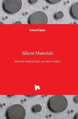 Beddiaf Zaidi, Slimen Belghit - Silicon Materials, Inbunden