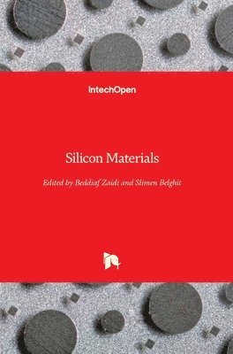 Silicon Materials 1