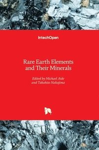 bokomslag Rare Earth Elements and Their Minerals