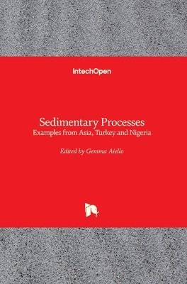 bokomslag Sedimentary Processes