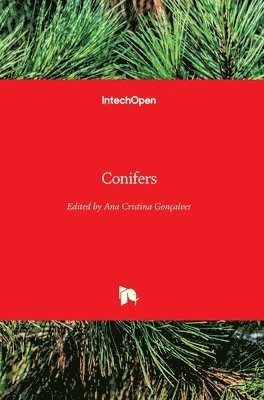 Conifers 1