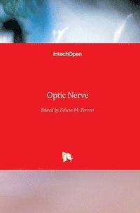 bokomslag Optic Nerve