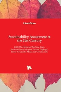 bokomslag Sustainability Assessment at the 21st century