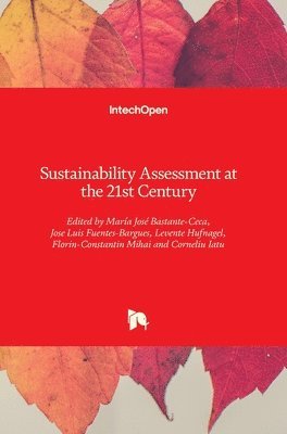 Sustainability Assessment at the 21st century 1