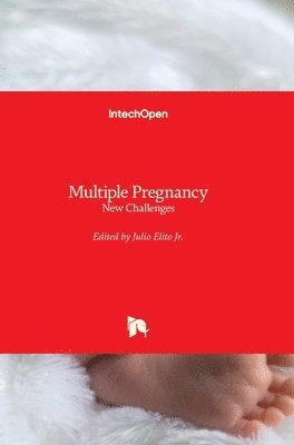 bokomslag Multiple Pregnancy