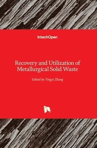 bokomslag Recovery and Utilization of Metallurgical Solid Waste