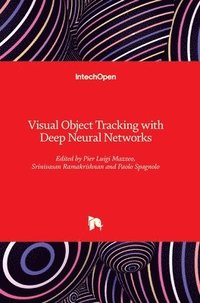 bokomslag Visual Object Tracking with Deep Neural Networks