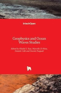 bokomslag Geophysics and Ocean Waves Studies