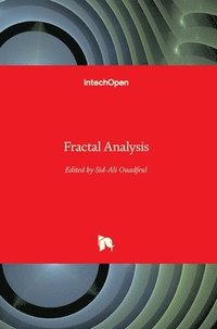 bokomslag Fractal Analysis