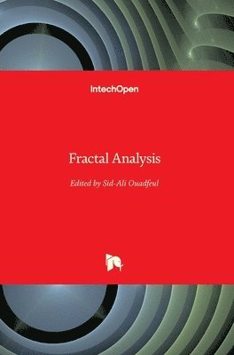 Sid-Ali Ouadfeul - Fractal Analysis, Inbunden