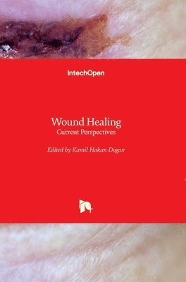 bokomslag Wound Healing