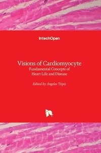 bokomslag Visions of Cardiomyocyte