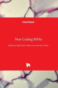 bokomslag Non-Coding RNAs
