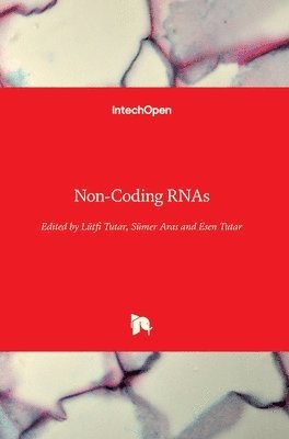 Non-Coding RNAs 1