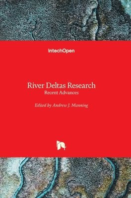 bokomslag River Deltas Research