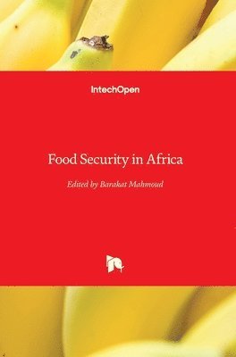 bokomslag Food Security in Africa