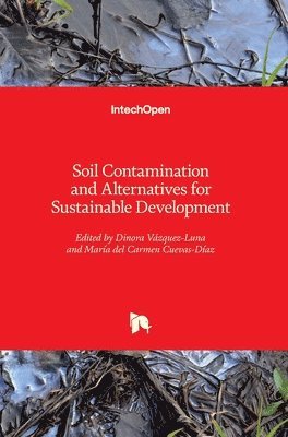 bokomslag Soil Contamination and Alternatives for Sustainable Development