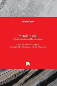 bokomslag Metals in Soil