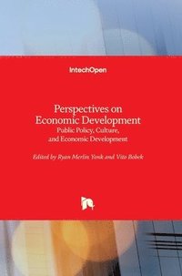 bokomslag Perspectives on Economic Development
