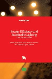 bokomslag Energy Efficiency and Sustainable Lighting