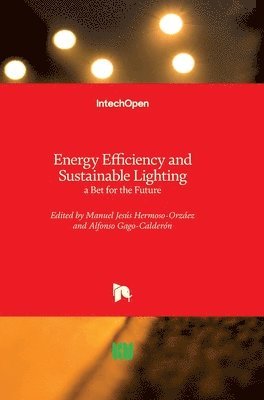 Manuel Jesús Hermoso-Orzáez, Alfonso Gago-Calderón - Energy Efficiency and Sustainable Lighting, Inbunden